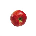 POMME HONEYCRISP 1KG