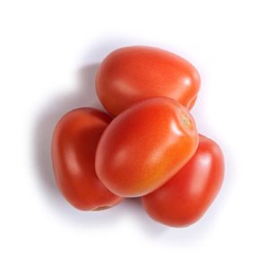 TOMATE ITALIENNE ROMA 1KG