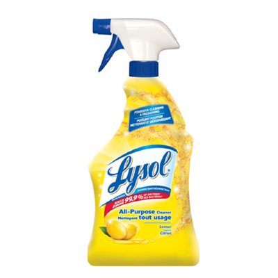 Lysol Cleaner A / P Trig 650ML